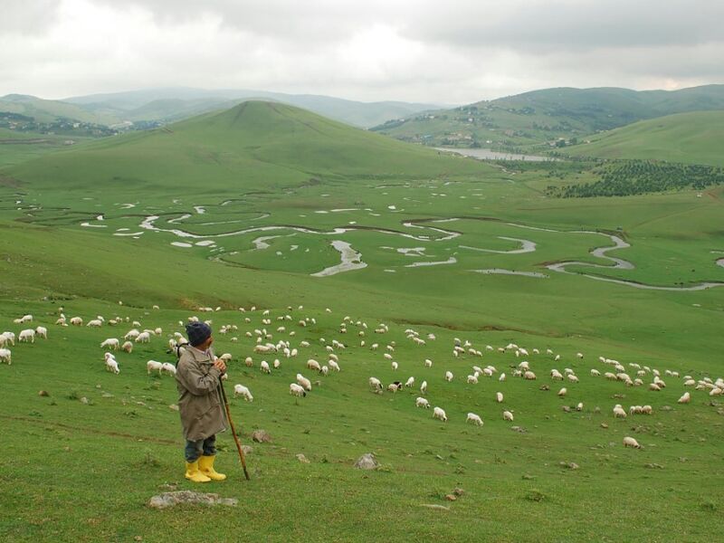 Uçakla Batum Konaklamalı Karadeniz Yaylalar Turları (Trabzon Başlar, Rize Biter)