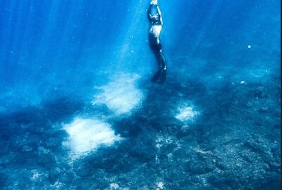 Bali İle Fenomen Uzak Doğu Turu Türk Hava Yolları İle 9 Gece