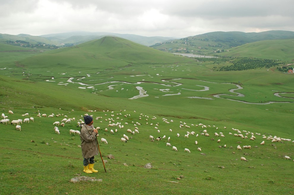 Uçaklı Batum Konaklamalı Karadeniz ve Yaylalar Turu(Trabzon başlar, Rize biter)