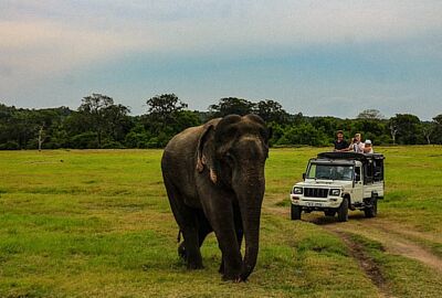 Sri Lanka Turu Yılbaşı Özel Salam Air İle 7 Gece 8 Gün