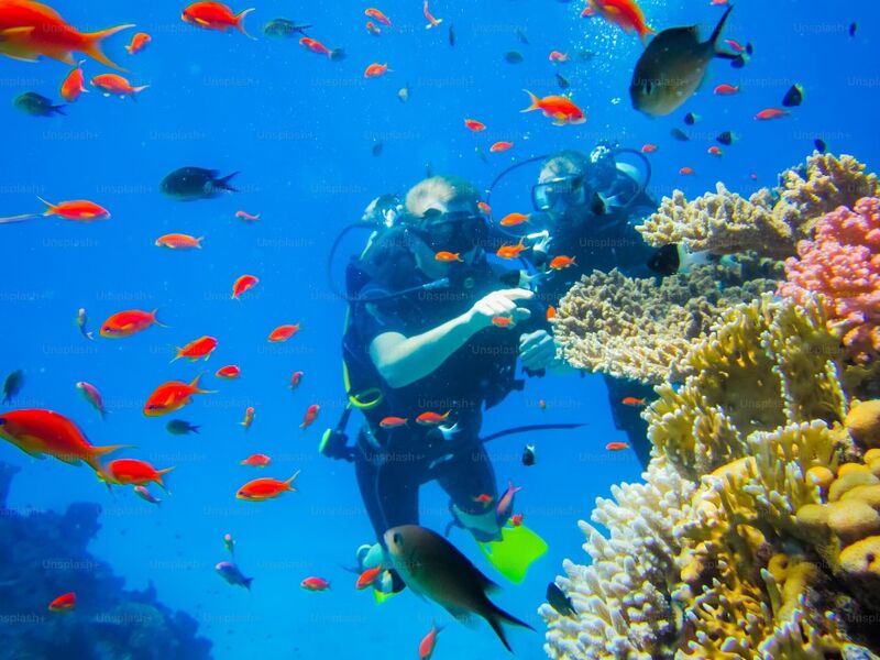 Sharm El Sheikh Turu Türk Havayolları ile 4 Gece Her Şey Dahil Oteller