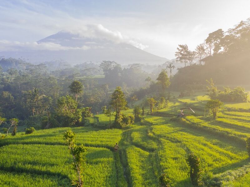 Singapur Hava Yolları ile Bali Turu 2025 Dönemi