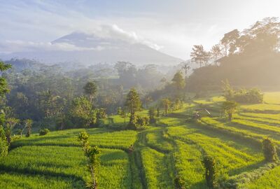 Bali & Singapur Turu Türk Hava Yolları ile 7 gece