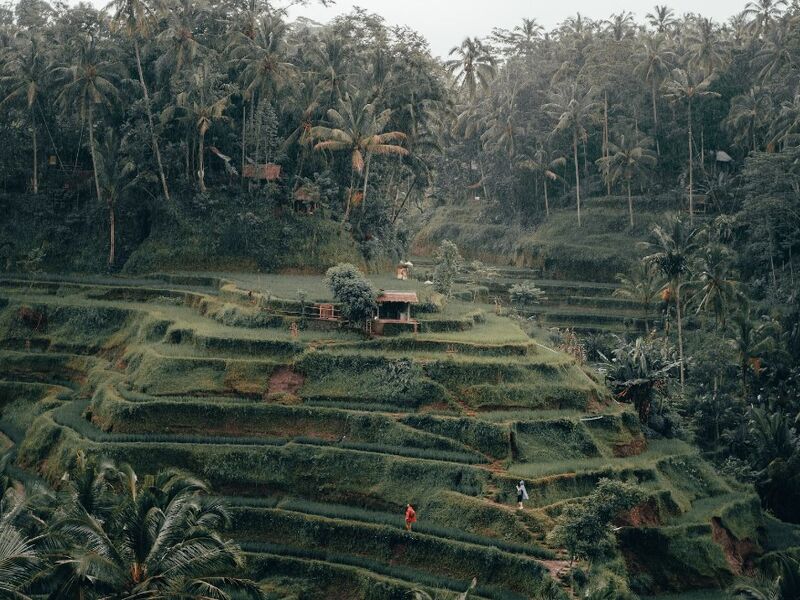 Bali & Singapur Turu Türk Hava Yolları ile 7 gece