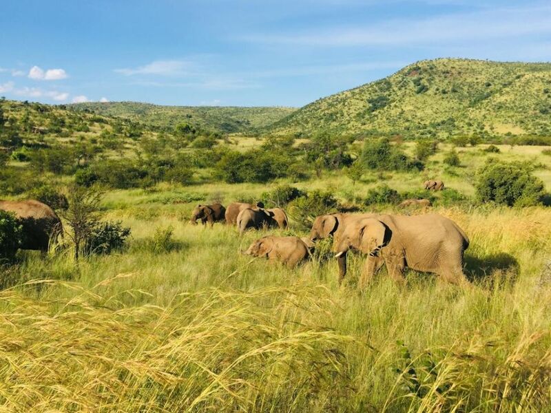 Görkemli Güney Afrika ve Safari 7 Gece - THY ile 30 Mart (Ramazan Bayramı Özel)