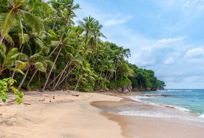 Panama Kosta Rika Nikaragua El Salvador Guatemala Meksika Turu Türk Hava Yolları ile 13 Gün	