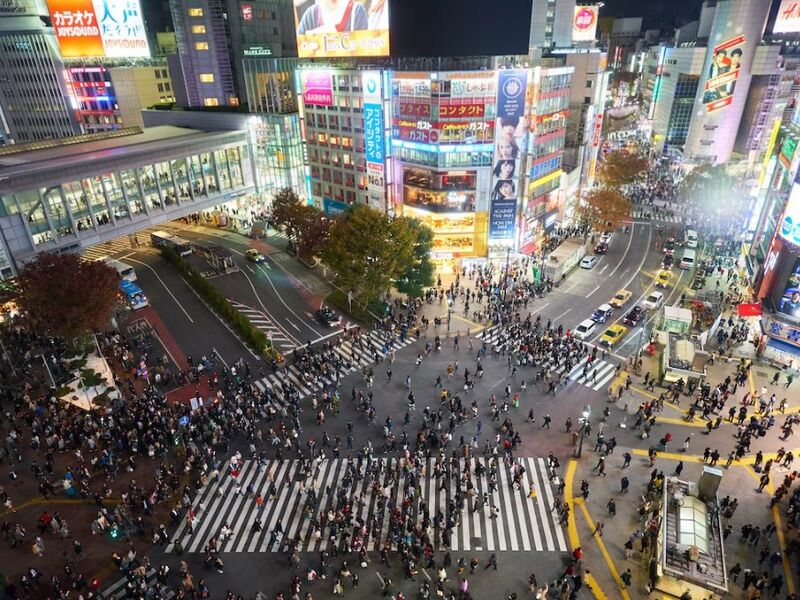 Eco Japonya Singapur Hava Yolları ile 8 Gece 11 Gün