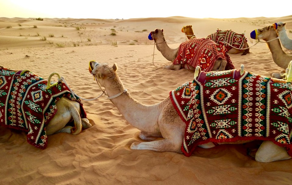 Dubai Turu Pegasus Havayolları ile 3 gece